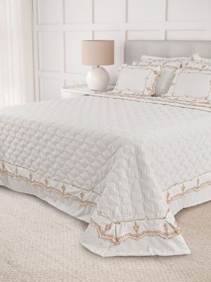 photo 4945444113524829891 y